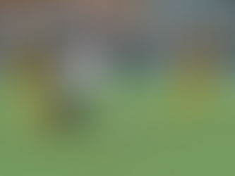 Serie D: la Lavagnese non punge e anche il San Donato brinda al Riboli.