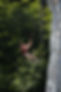 _MG_5214.jpeg