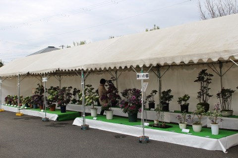 踊り・創作の部作品