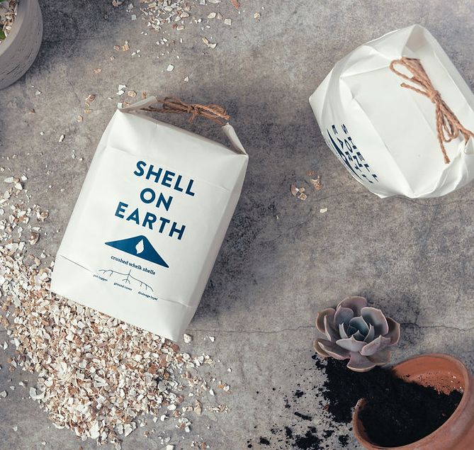 Crushed Whelk Shells - Small