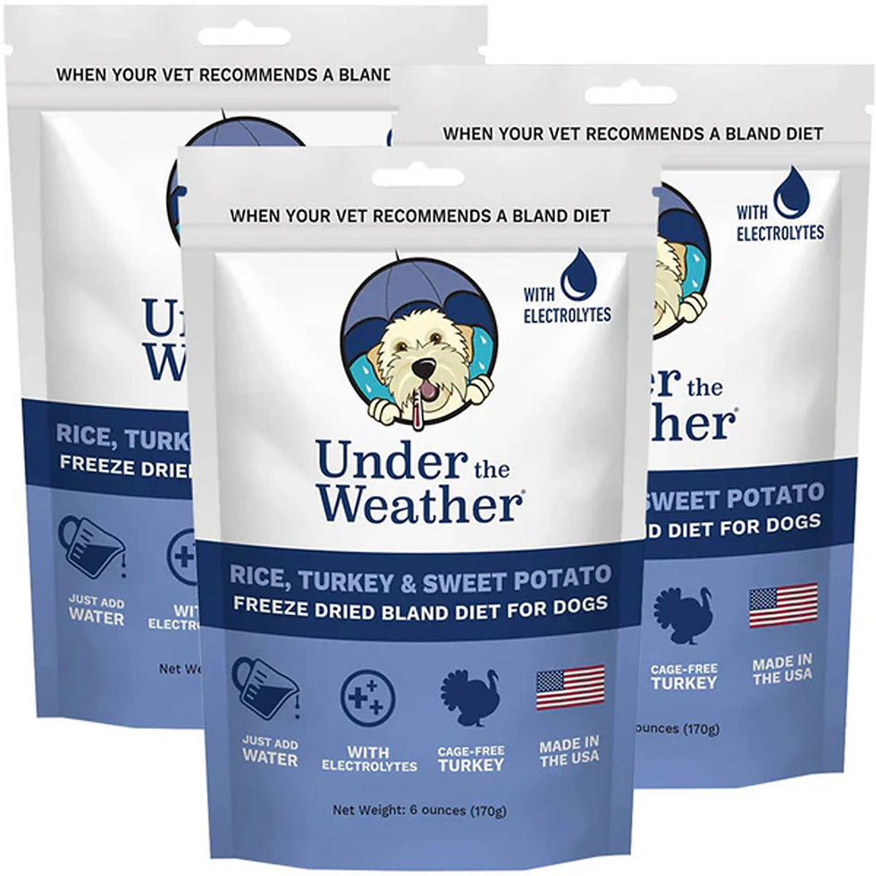 Under the Weather Rice, Turkey & Sweet Potato Freeze Dried Bland Diet for Dogs