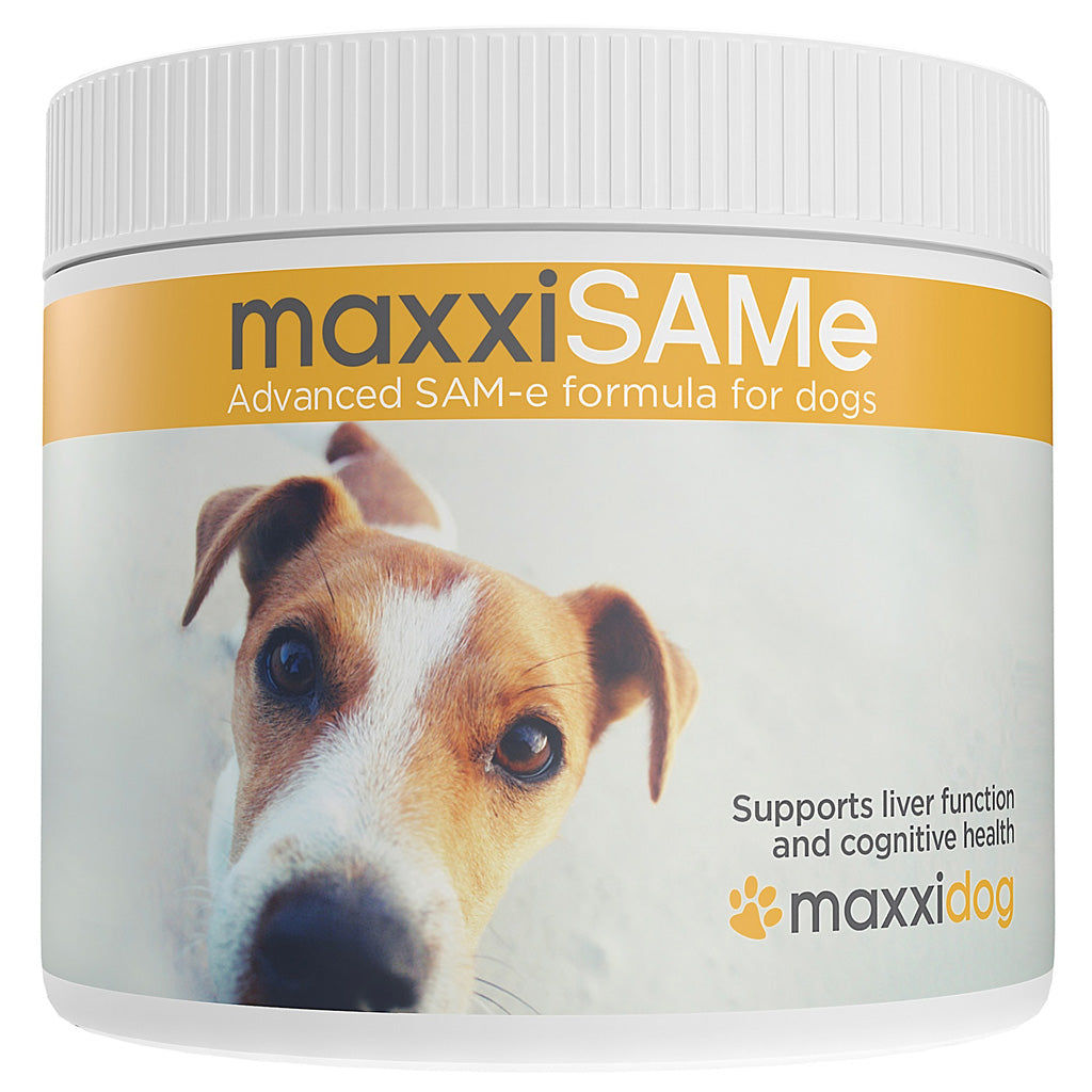 MaxxiSAMe advanced SAMe formula for dogs 150g