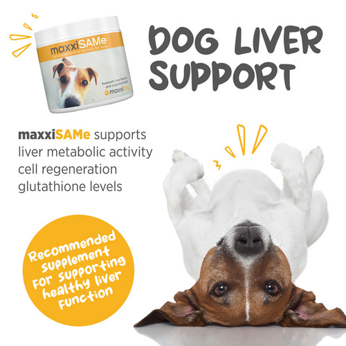 MaxxiSAMe advanced SAMe formula for dogs 150g