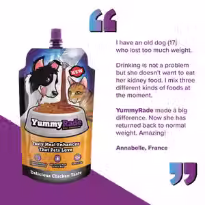 Thumbnail: YummyRade 250ml Gravy health supplement for dogs and cats