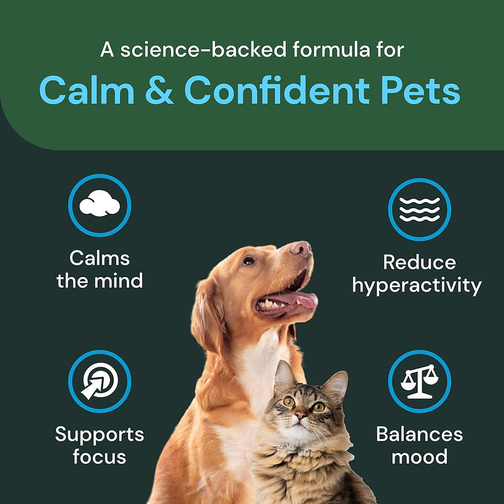 Thumbnail: Vetriscience Composure Pro calming chews for dogs & cats – Furever Products