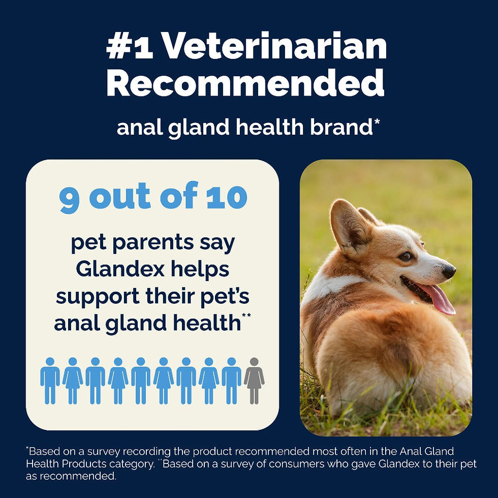 Thumbnail: Glandex Anal Gland Medicated Itch Relief Spray for Dogs & Cats