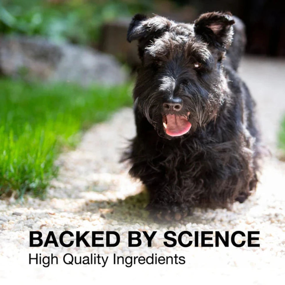 Thumbnail: Nutramax Denosyl Liver and Brain Health Supplement for Medium dogs