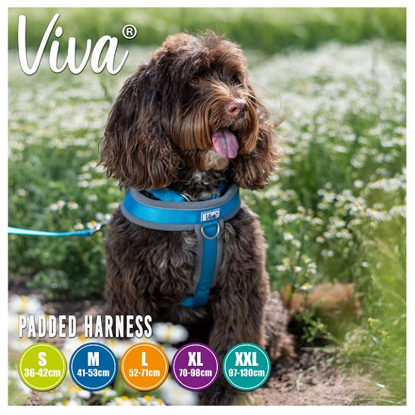 Thumbnail: Ancol Viva Padded Nylon Dog Harness
