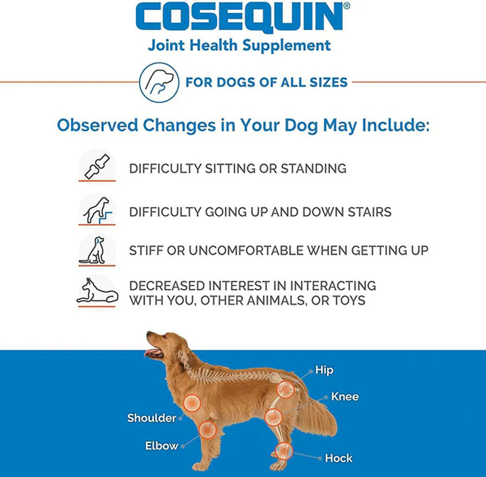 Thumbnail: Nutramax Cosequin DS Joint Health Supplement for Dogs
