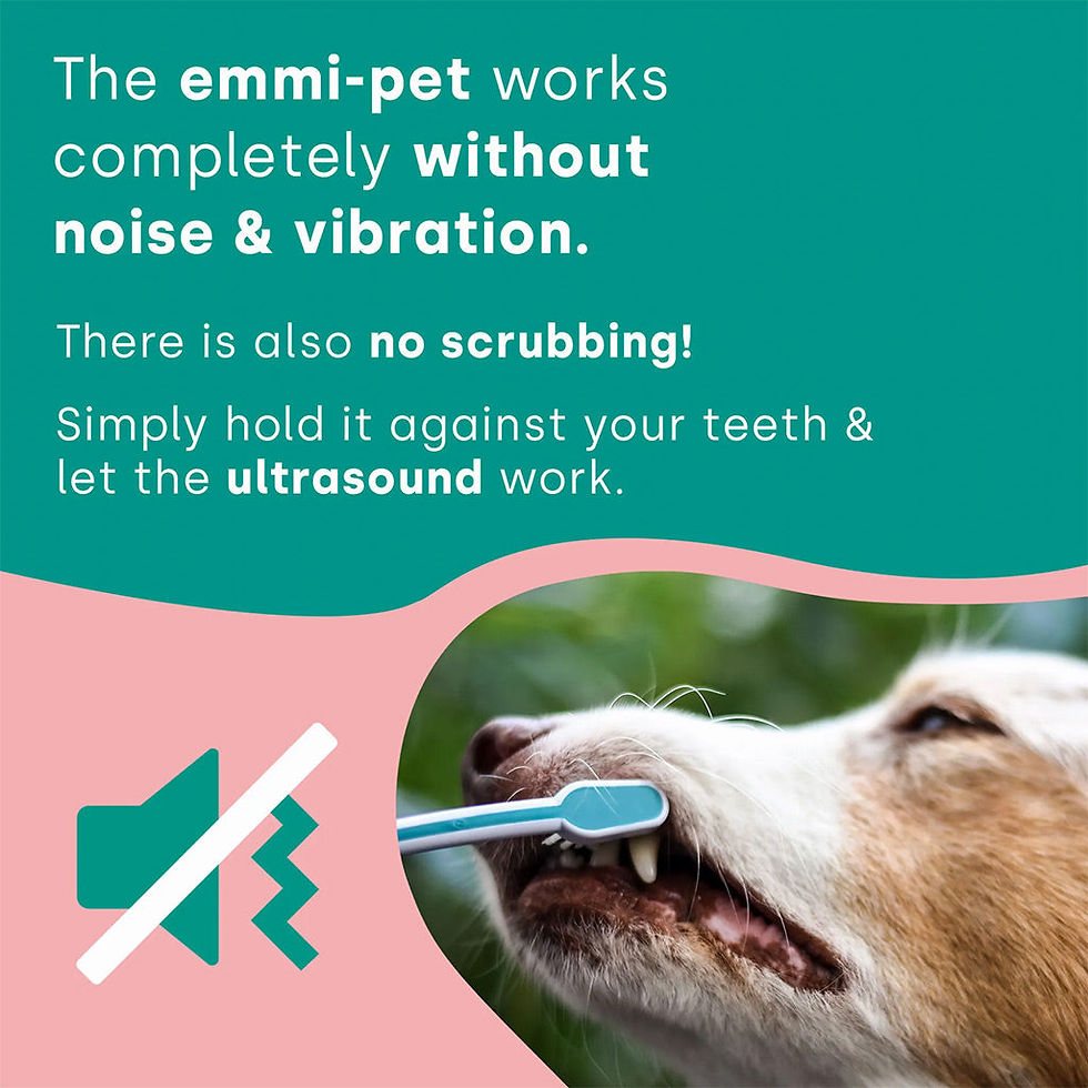 Thumbnail: Emmi-Pet 1.0 Basic Set – Advanced Ultrasonic Toothbrush for Dogs & Cats UK