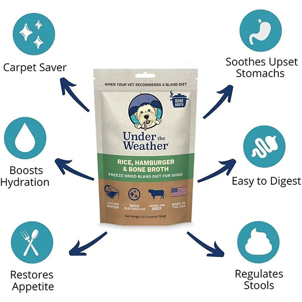 Thumbnail: Under the Weather Rice, Hamburger & Bone Broth Freeze Dried Bland Diet for Dogs