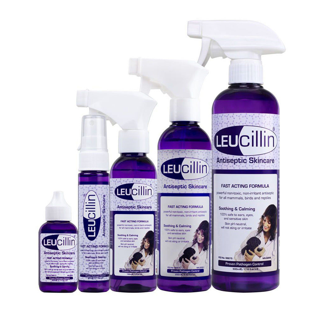 Leucillin Antiseptic Skin Care Solution for Dogs & Cats – Furever Products