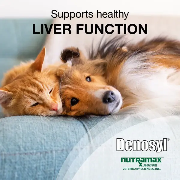 Thumbnail: Nutramax Denosyl Liver and Brain Health Supplement for Small Dogs & Cats