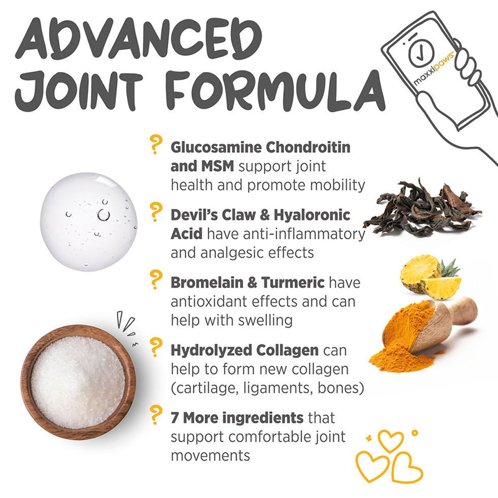 Thumbnail: Maxxiflex+ joint supplement for dogs tablets