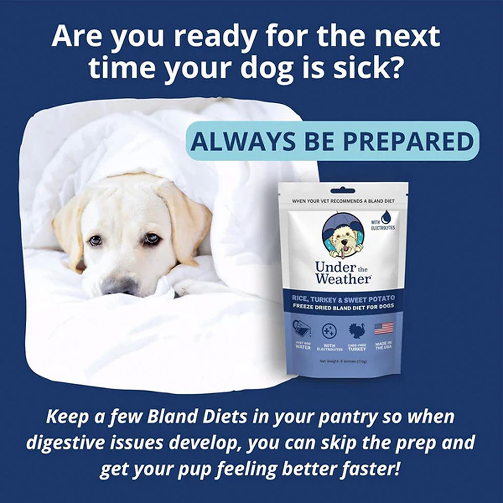 Thumbnail: Under the Weather Rice, Turkey & Sweet Potato Freeze Dried Bland Diet for Dogs