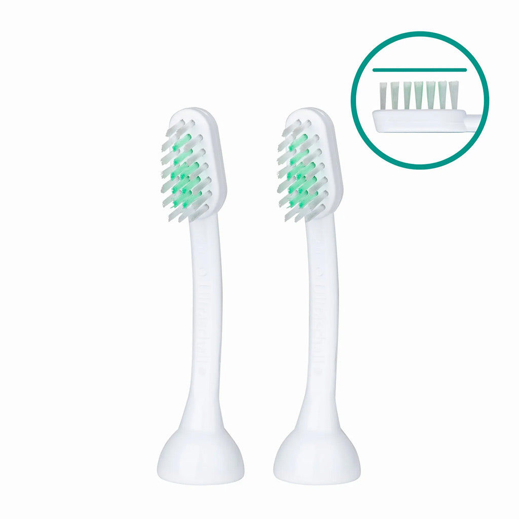 Emmi-Pet A2 (M2) Ultrasonic Attachments UK – Large Dog Toothbrush Heads