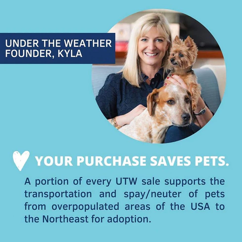 Thumbnail: Under the Weather Rice, Hamburger & Bone Broth Freeze Dried Bland Diet for Dogs
