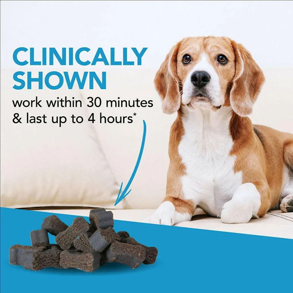 Thumbnail: VetriScience Composure Calming Supplement Soft Chews for Dogs
