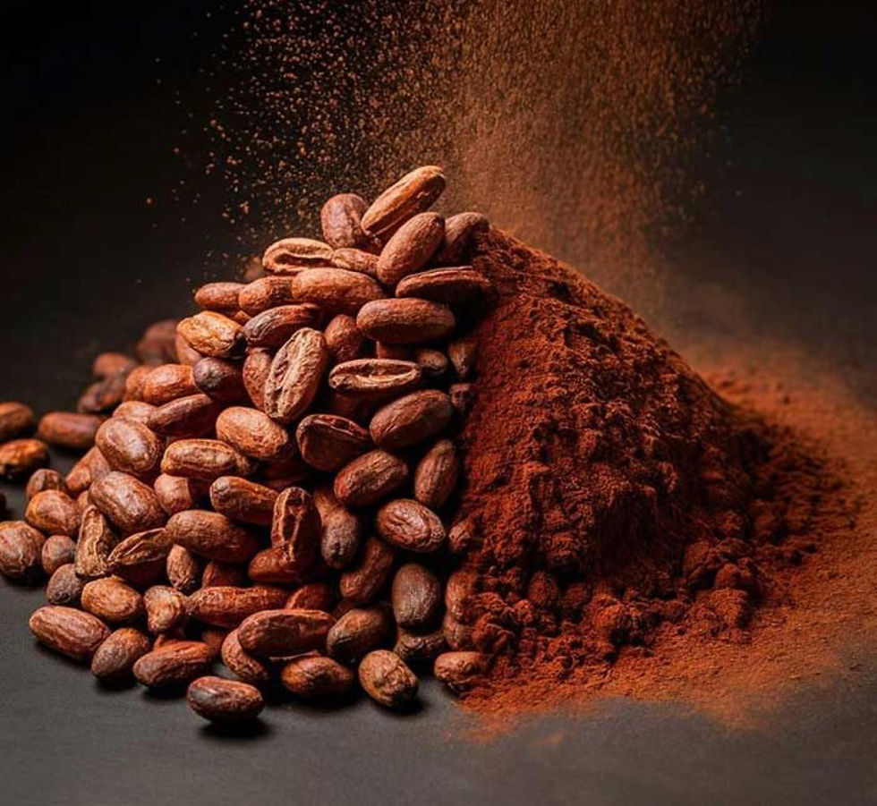 WhatsApp Image 2025-10-08 at 11.25.11.jpeg