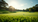 The Strategic Importance of Bangkok Golf Course Advisory