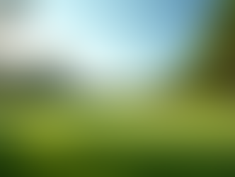 Navigating the Complexities of Managing Golf Clubs in Asia