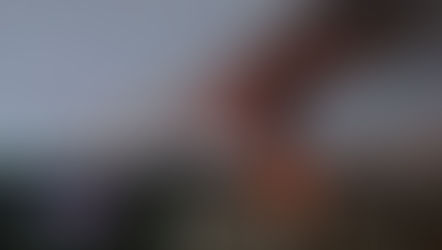 La libertad que cae del cielo