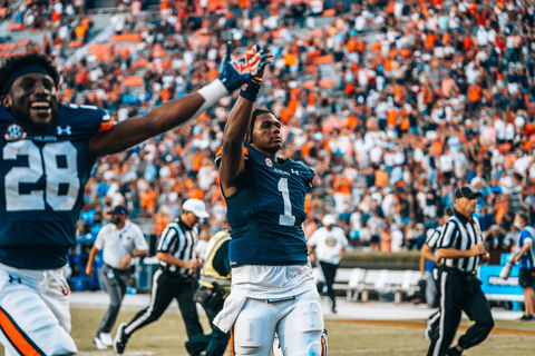 Auburn_GSU-4.jpg