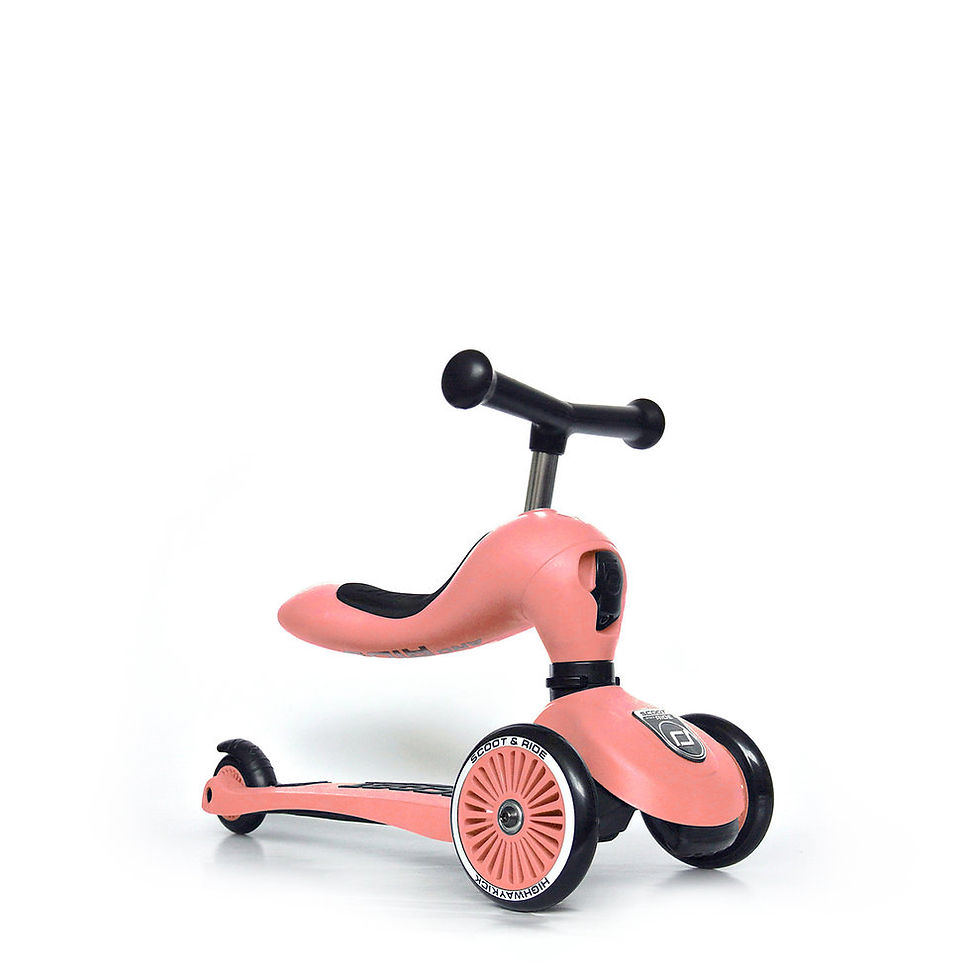 Thumbnail: Scoot and Ride loopfiets + step