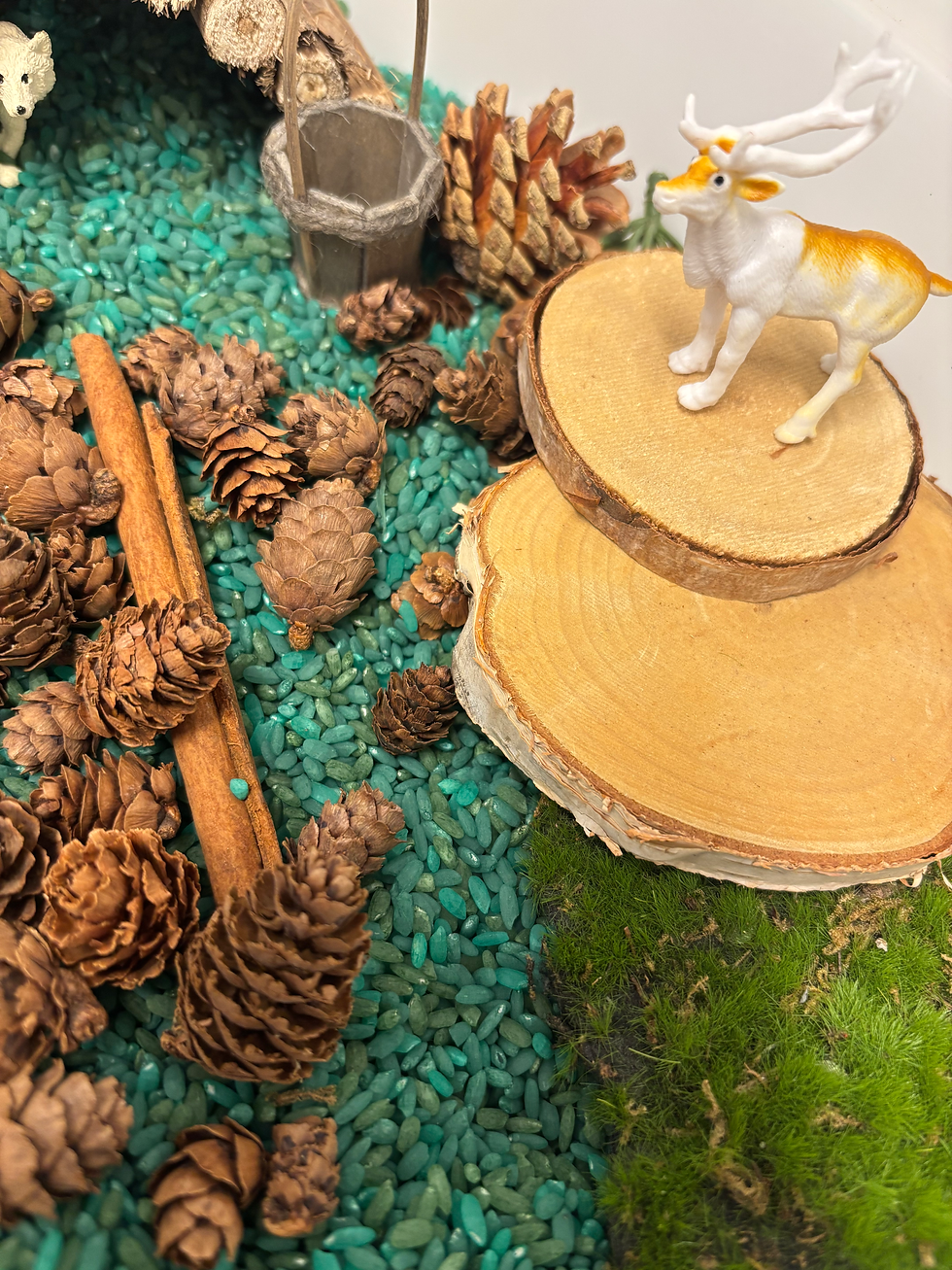 Thumbnail: Winterbos sensory box