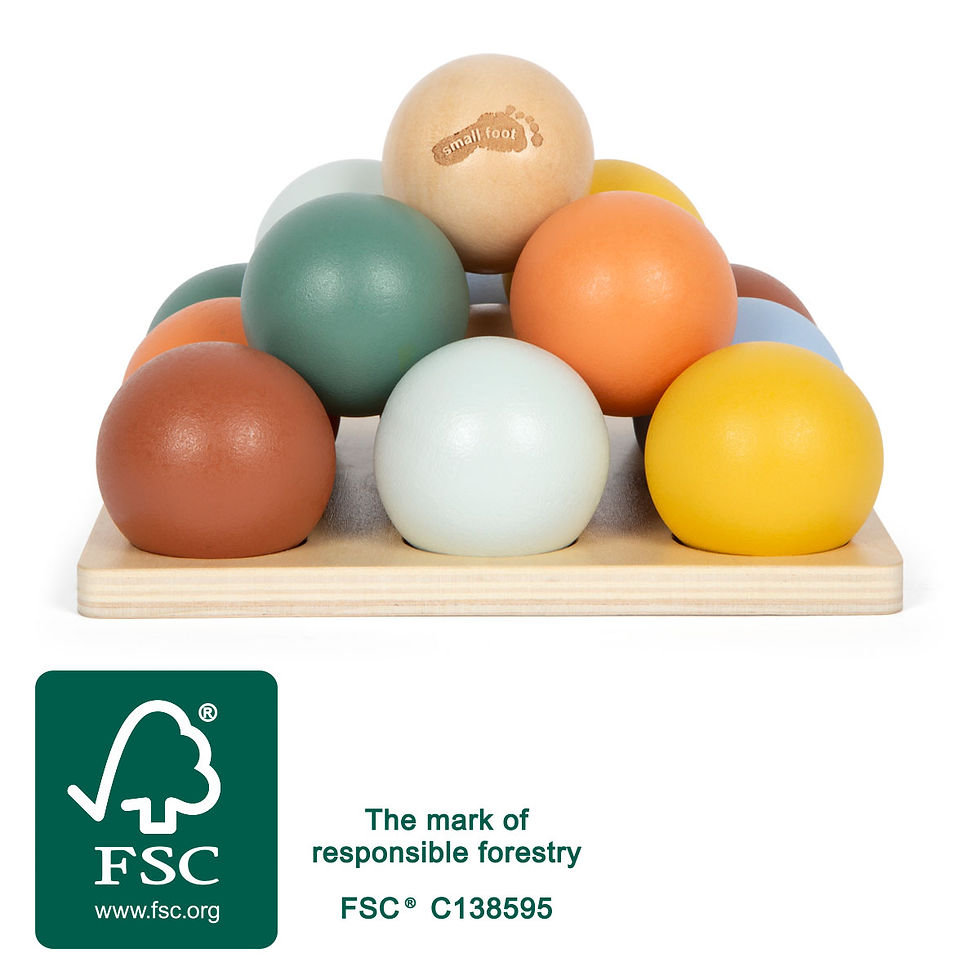 Small foot - Montessori sorteerspel met houten ballen