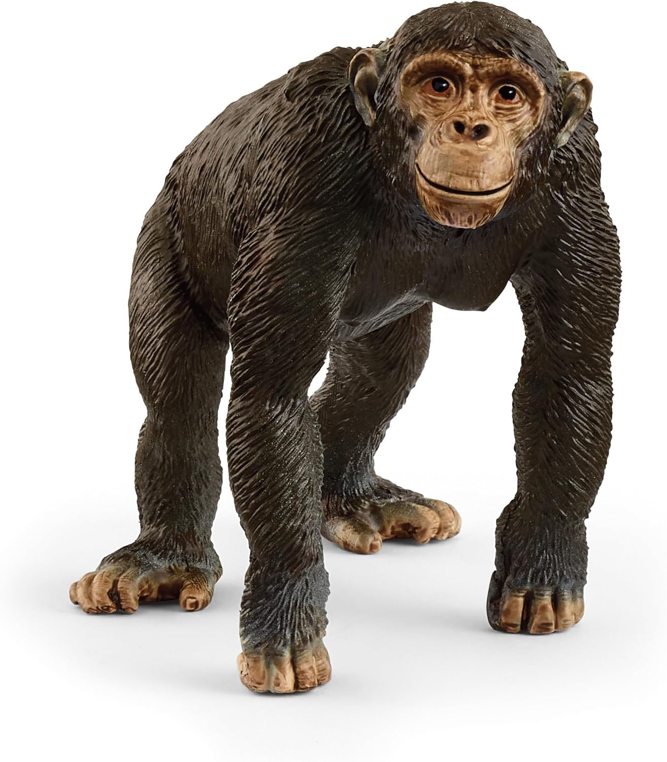 Chimpansee