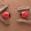 Thumbnail: Lieveheersbeestjes tellen set Yellow Door