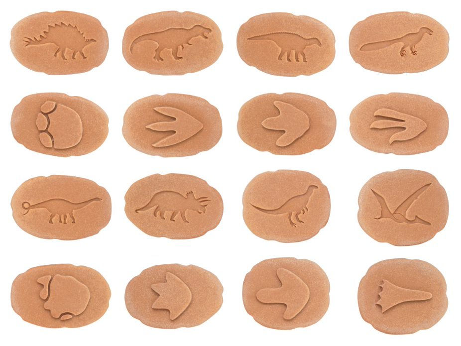 Thumbnail: Tactiele stenen Dino's (dubbelzijdig) Yellow Door