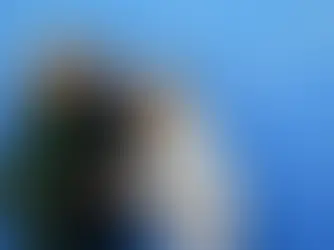 Kyiv Post: The Elephant That Learned to Dance: Ukraine’s Private Sector Prepares for Peace