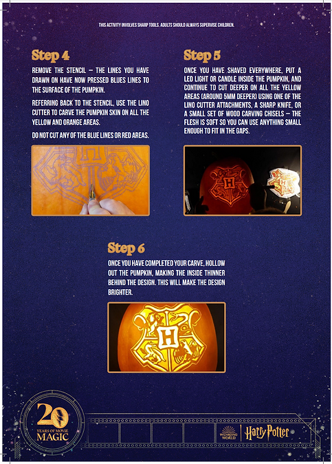 hp step by step guide p2.PNG