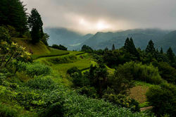 溜井(黒山)棚田