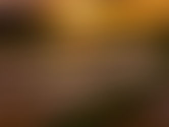 5月9日 千丈寺湖~越畑・樒原