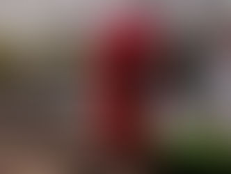 尼崎城・街の花