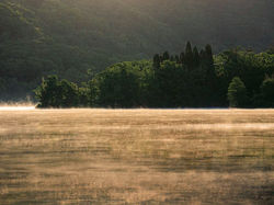 予想通りの毛嵐
