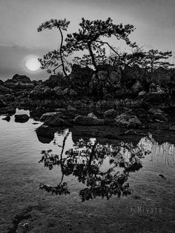 _MG_3787M