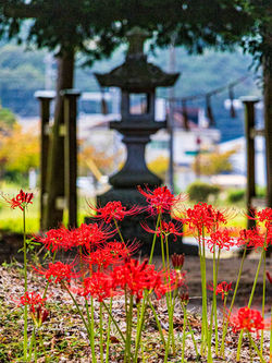 大年神社