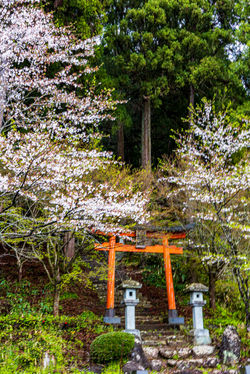 花筐公園