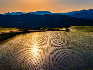 6月8日 再びの高知棚田巡り