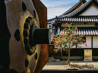 9月10日 「視点」写真展の帰り・尼崎寺町散策