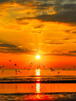 カモメと戯れて