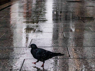 10月22日 雨の銀座