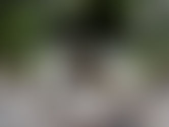 5月13日 能登入り