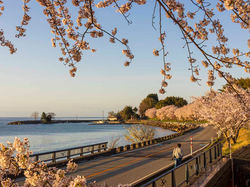 能登町矢波