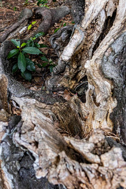 _MG_0866
