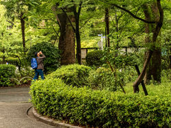 朝から熱中症対策